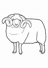Mouton Moutons Coloriages Dessins Shaun Télécharge Partage Imprime sketch template