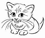 Coloring Pages Cute Cats Baby Animal Kitten Cat sketch template