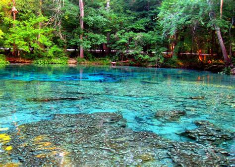 spend  incredible day   outdoors  ginnie springs florida