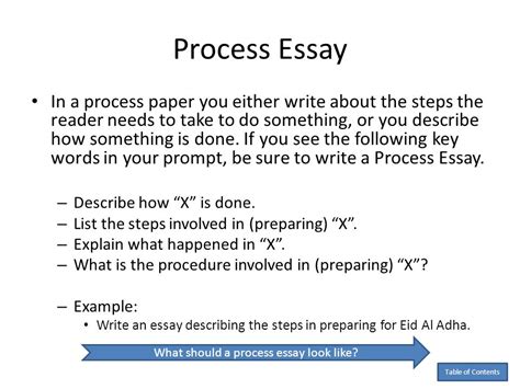 process essay  examples format  examples