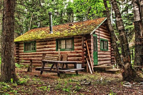 years   log cabin  quick gardencouk