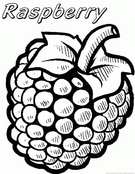raspberry coloring pages