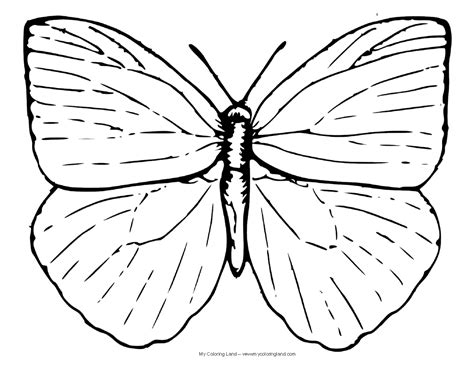 gambar butterfly easter egg printable coloring page pages eggs