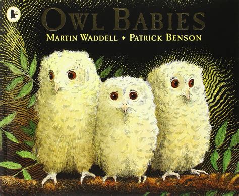 owl babies activity packs resources rgfe