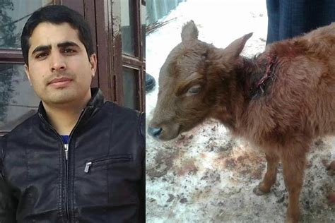 With Little Facilities Kashmiri Vet Performs A Rare