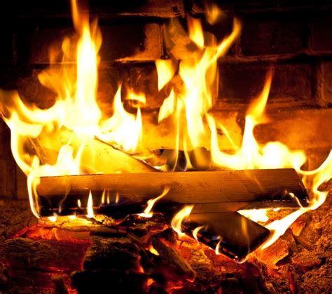 lemnul de foc este mai ieftin  franta decat  romania focus energetic