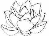 Lotus Coloring Pages Flower Color Drawing Getdrawings Printable Clipart Kids sketch template