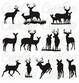 Deer Stencils sketch template