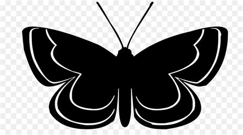 butterfly vector graphics clip art silhouette png