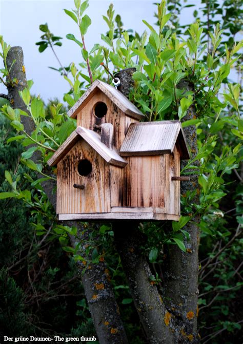 birdhouse   garden bird houses bird house bird house feeder