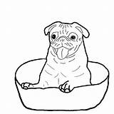 Coloring Pages Boxer Dog Puppy Sitting Bowl Down Drawing Color Getcolorings Print Printable Getdrawings Template sketch template