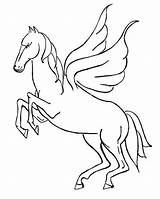Pegasus Coloring Rearing Netart sketch template