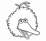 Bird Big Face Sesame Street Printable Coloring Pages Template Printablee Category Other sketch template