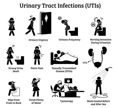 Urinary Tract Infection Uti Signs Bladder Inflammation Sex Etsy