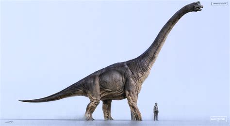 Brachiosaurus Design