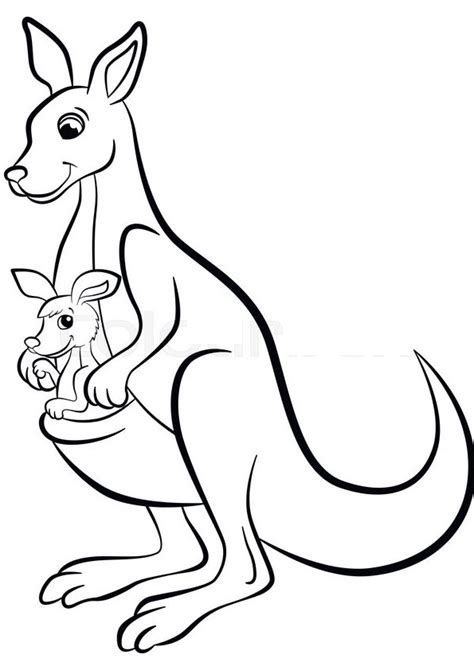 baby kangaroo coloring page parentune  printable kangaroo
