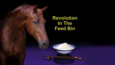 equine nutrition australasia malaysia  horse feed manufacturer youtube