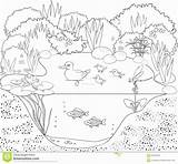 Plants Ocean Aquatic Gcssi sketch template