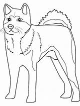 Coloring Husky Pages Dog Printable Sled Dogs Rachel Color Siberian Sheets Lab Getcolorings Cattle Realistic Getdrawings Colouring Colori Print Colorings sketch template