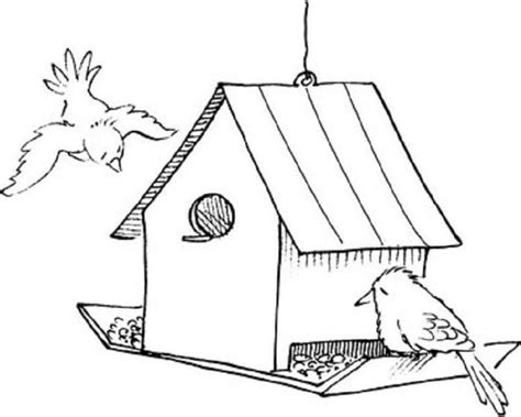 bird feeder plans coloring pages natural coloringpages