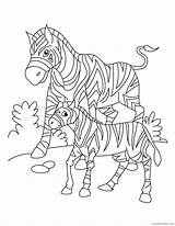 Zebra Coloring Baby Pages Coloring4free Mom Related Posts sketch template