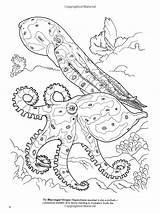 Dover Coloriage Animal Besuchen sketch template