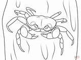 Coloring Pages Crustacean Crab Halloween Hermit Crabs Coconut Printable Drawing Drawings Sketch 1199 5kb sketch template