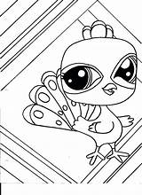 Coloring Pages Pet Littlest Fun Shop Zoe Lips Color Kids Bunny Getcolorings Printable Peacock Lps Sheets Great sketch template