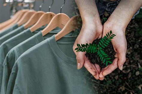 rise  sustainable fashion      fashion peth