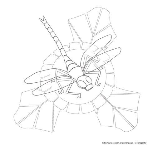 dragonflies coloring pages coloring home