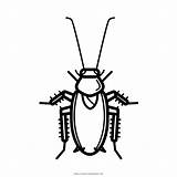 Cockroach Cucaracha Mewarnai Kecoa Roach Hitam Repellent Repel Menggambar Iconfinder Ultracoloringpages sketch template