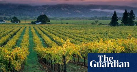 california s legacy vineyards celebrate their vintage wine the guardian