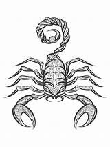 Scorpion Scorpio sketch template
