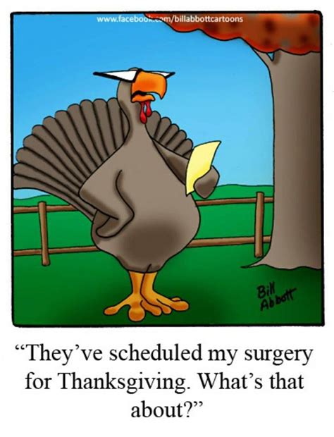 pin by maddie on thanksgiving funny thanksgiving pictures funny