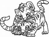 Tiger Coloring Pages Baby Tigers Cub Tooth Printable Cheetah Two Saber Color Drawing Cartoon Cute Detroit Print Adult Bengal Lsu sketch template