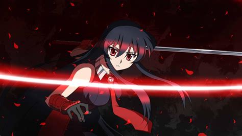 Fighting Akame In Akame Ga Kill Hd Desktop Wallpaper