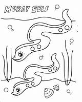 Coloring Eel Pages Moray Electric Getdrawings Sharkboy Lavagirl Getcolorings Popular 08kb 1683 sketch template