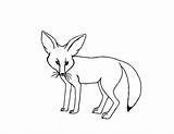 Desert Outline Fox Coloring Pages Netart sketch template