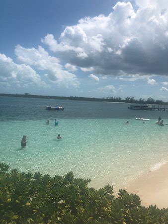 pearl island paradise island            tripadvisor