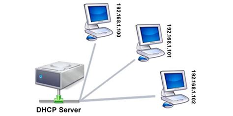 overview  dynamic host configuration protocol dhcp  beginners