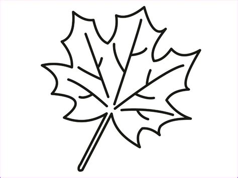 awesome collection  maple leaves coloring page leaf coloring