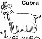 Cabras Cabra Capra Colorat Capre Chevre Ganado Caprino Koza Chevres Kolorowanka Kolorowanki Kozy Animale Domestice Colorea Campana Desene Goats Ied sketch template