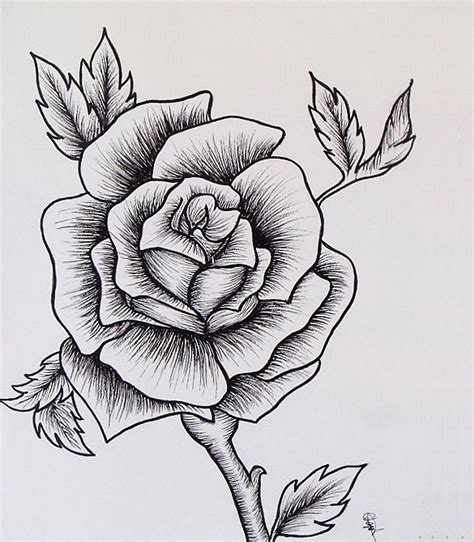 rose drawing rose sketch drawing tattoo ideas  jpg clipartingcom