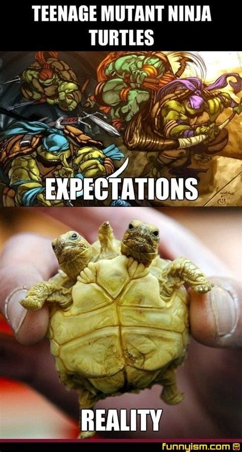 92 best expectation vs reality images on pinterest funny