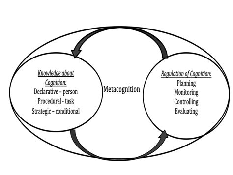 conceptual framework  metacognition  scientific diagram