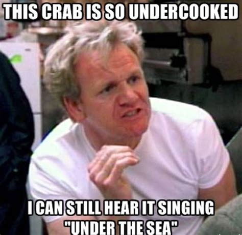 chef ramsay memes  capture  endless talent  insults