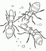 Ant Coloring Kids Pages Printables Comments sketch template