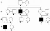 Pedigree Pedigrees Analysis Recessive Linked Inheritance Khan Slideshare sketch template