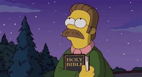 Pin By Kerrianna Wilson On Reaction Pics Ned Flanders