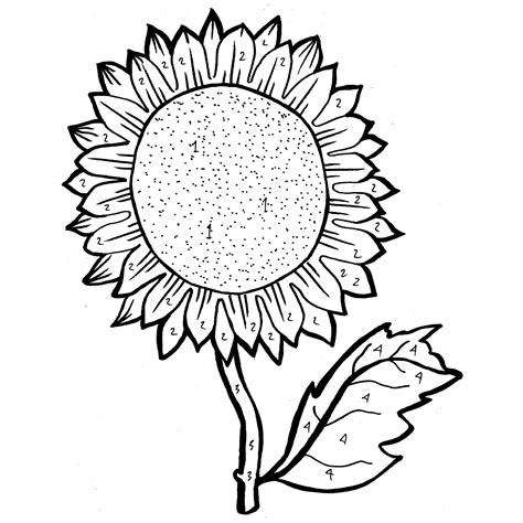 realistic sunflower coloring page   sunflower coloring